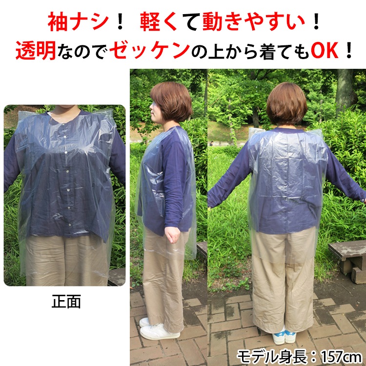 ڥݥޤȤ㤤ۥ쥤٥ ˥󥰥ݥ 250ĥå(1c/s)