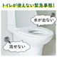��Ω�ʰץȥ��� �ŸǺޡ���ʪ�ޡ��غ¥��С��ʤ� KO382 10�ĥ��å�(1c/s)