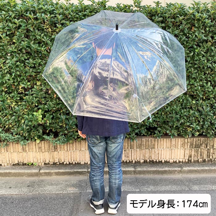 80cm �ӥˡ��뻱 Ʃ�� �����׼� 6�ܥ��å� ���绱
