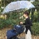 80cm �ӥˡ��뻱 Ʃ�� �����׼� 6�ܥ��å� ���绱