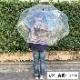 80cm �ӥˡ��뻱 Ʃ�� �����׼� 6�ܥ��å� ���绱