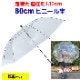 80cm �ӥˡ��뻱 Ʃ�� �����׼� 6�ܥ��å� ���绱