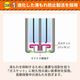 12ǯ��¸��ǽ ���륫�괥���� ñ3�� 20���� KO389 15Ȣ���å�(300�ܡ�0.5c/s)