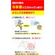 SALE ̲ʡ¨Ǽ 60cm ܥ顼  60ܥå(1c/s) ߥ륭顼ӥˡ뻱Ʃ