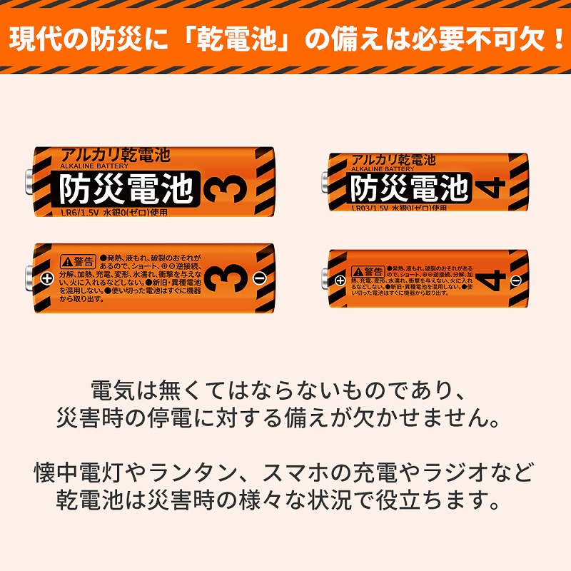12年保存可能 アルカリ乾電池 単3形 20本入 KO389 30箱セット(600本