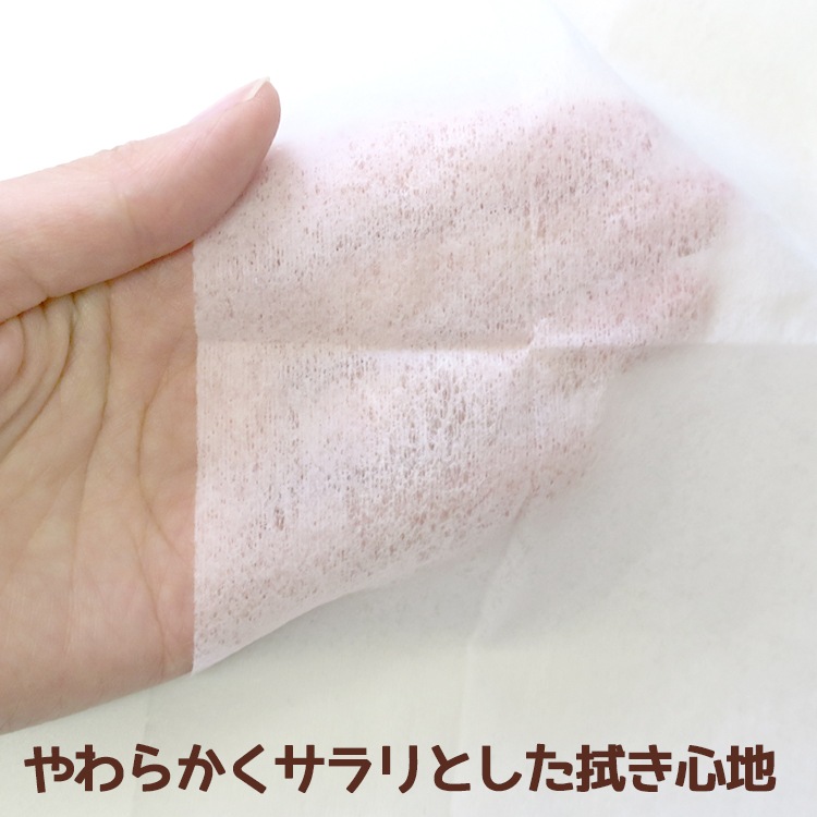 ������ɥ����åȥƥ��å�����Ƚ10�����ꡡ600�ĥ��å�(3c/s)��N028��