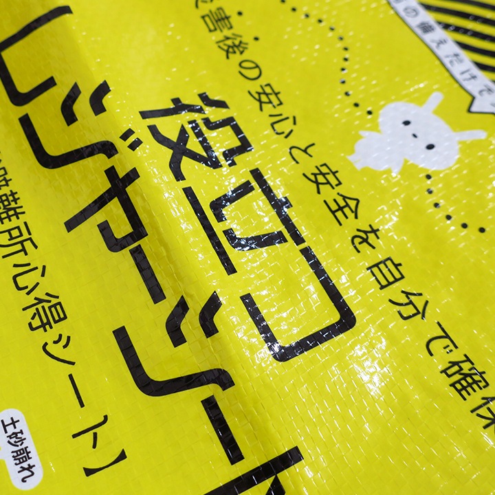 ��Ω�ĥ쥸�㡼������ 100�ĥ��å�(7222-55)