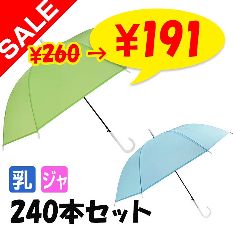 ��SALE ���̲��ʡ�¨Ǽ 60cm ����ܥ����顼�� �������� 240�ܥ��å�(4c/s)  �ߥ륭�����顼�ӥˡ��뻱��Ʃ����