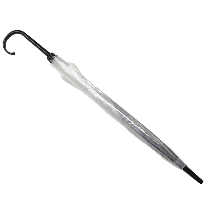 ��¨Ǽ��50cm �ӥˡ��뻱 ���ܹ� �곫�������� Ʃ�� 6�ܥ��å�
