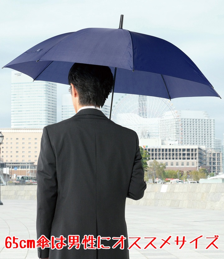 �١����å��ӥå������׻��ʥͥ��ӡ���30�ܥ��åȡ����緿�����׼������������� #2318530