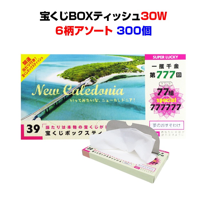 宝くじBOXティッシュ30W 300個(3c/s)｜卸スタジアム