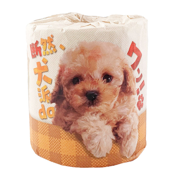 ����������da��󡪥ȥ���åȥڡ��ѡ� 1R 100��(1c/s)