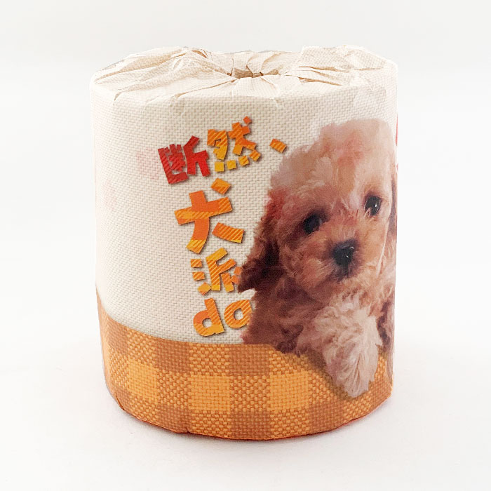 ����������da��󡪥ȥ���åȥڡ��ѡ� 1R 100��(1c/s)