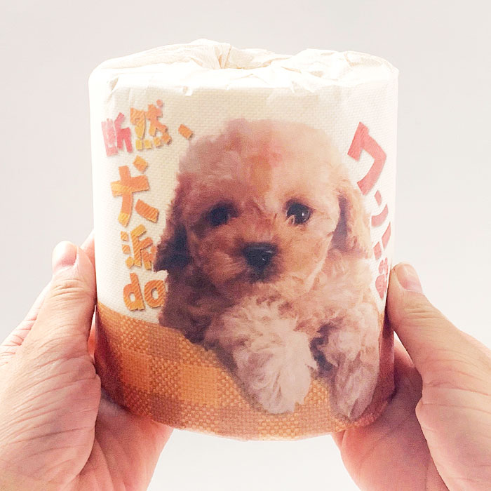 ����������da��󡪥ȥ���åȥڡ��ѡ� 1R 100��(1c/s)