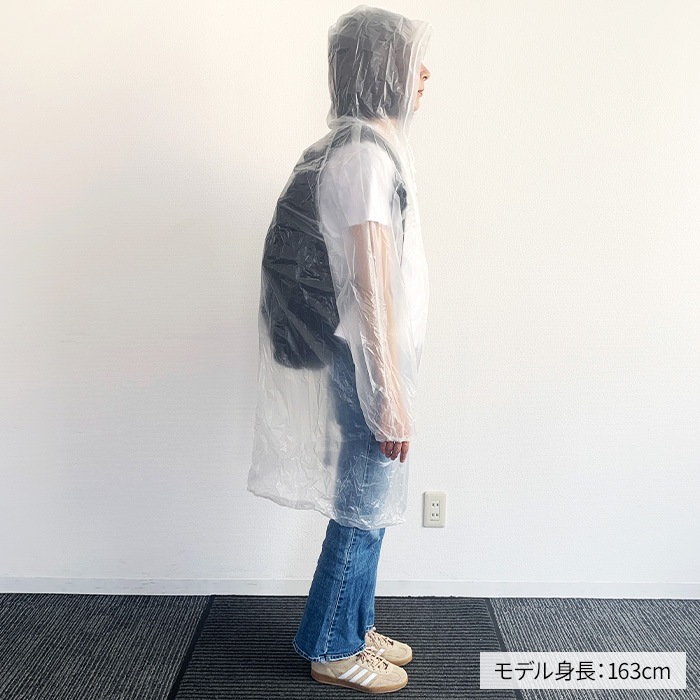 ��·����ѥ쥤�󥳡���(Po) S������ 100�ĥ��å�(0.5c/s)