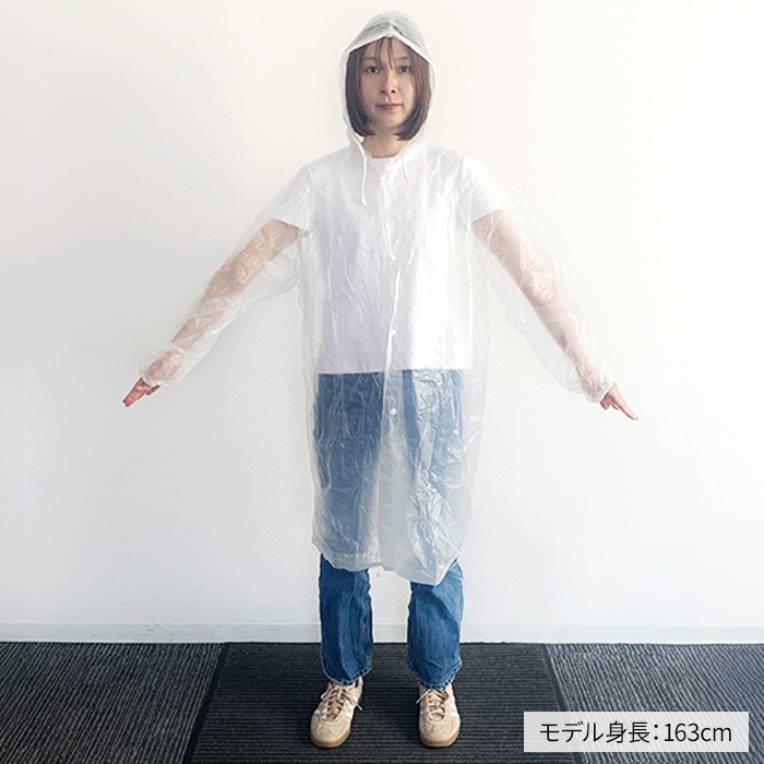 ��·����ѥ쥤�󥳡���(Po) S������ 100�ĥ��å�(0.5c/s)