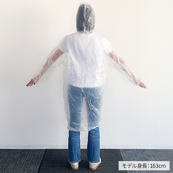 ��·����ѥ쥤�󥳡���(Po) S������ 100�ĥ��å�(0.5c/s)