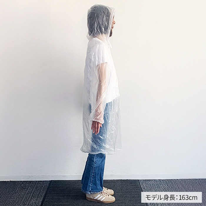 ��·����ѥ쥤�󥳡���(Po) S������ 100�ĥ��å�(0.5c/s)