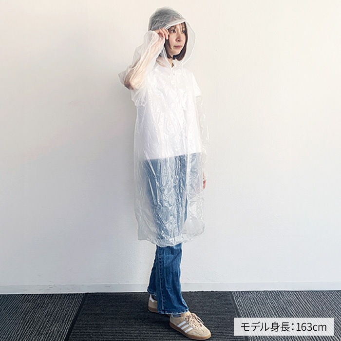��·����ѥ쥤�󥳡���(Po) S������ 100�ĥ��å�(0.5c/s)