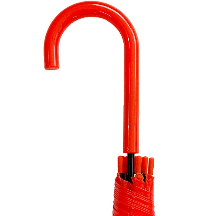 60cm ���顼�ӥˡ��뻱���֡�12�ܥ��åȡ�