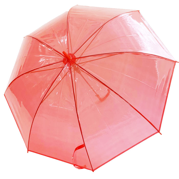 60cm ���顼�ӥˡ��뻱���֡�12�ܥ��åȡ�