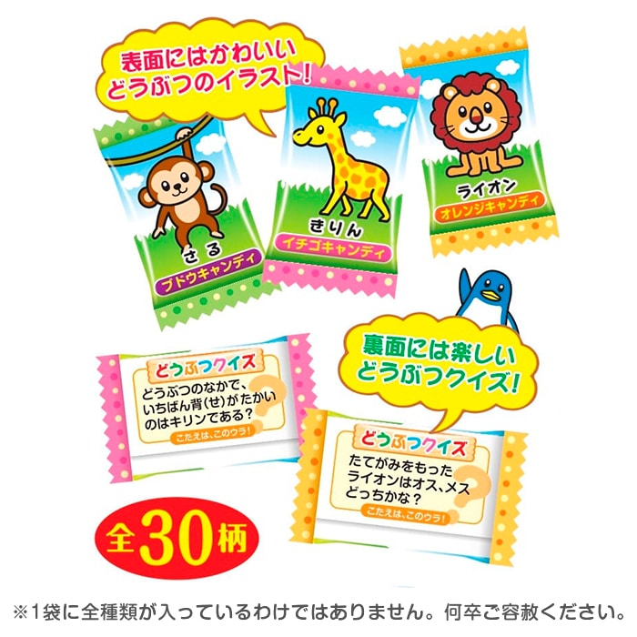 メーカー終売】どうぶつ探検ランドキャンディ 1kg×10袋セット｜卸