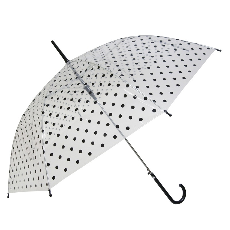 �ӥˡ��뻱58������������1�ܥ��åȡʥ���ץ��ѡ�