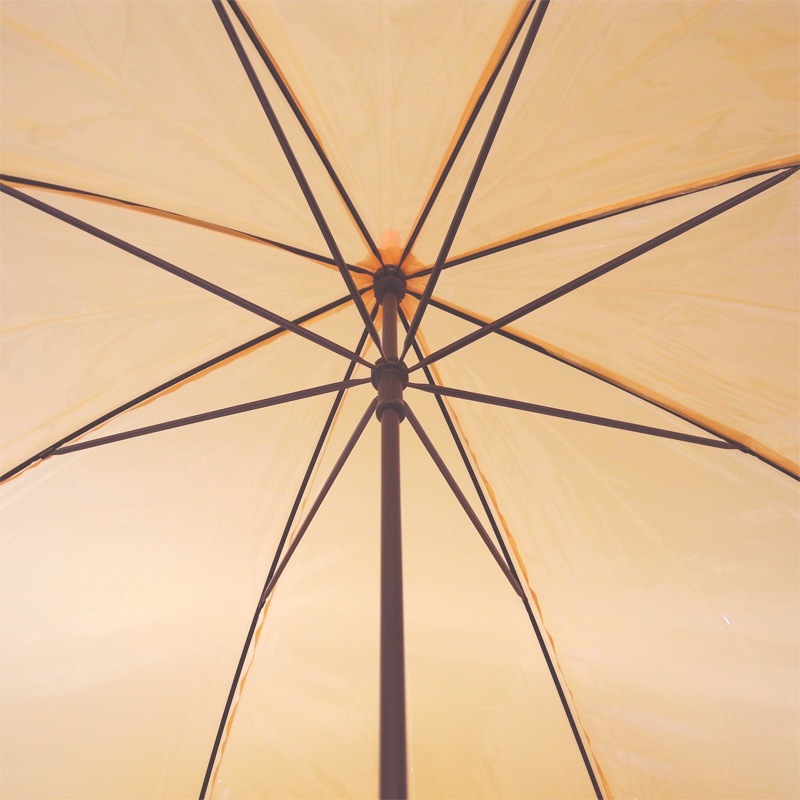 ӥˡ뻱50cm顼 ʥ󥸡ˡ1ܥå