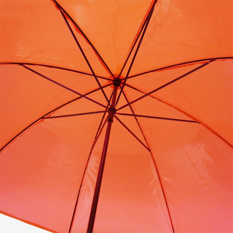 �ӥˡ��뻱50cm�����顼 �ֿ��ʥ�åɡˡ�60�ܥ��åȡ�60�ܡ�1c/s��