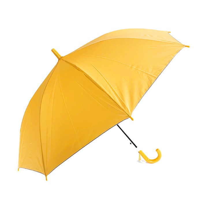 55cm Ƹ׻  120ܥå(2c/s) #533UV Ҷ  饹եС