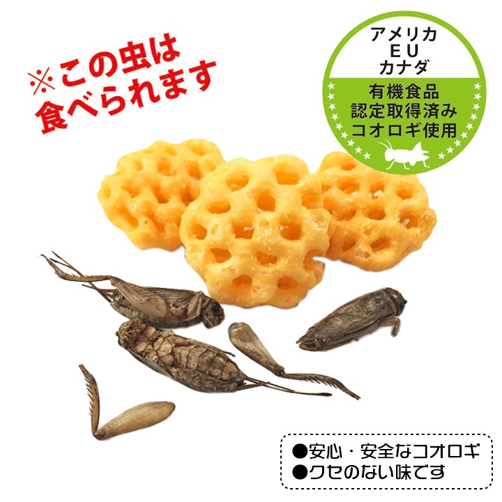 未来コオロギスナック 36g入 30袋セット(1c/s)｜卸スタジアム