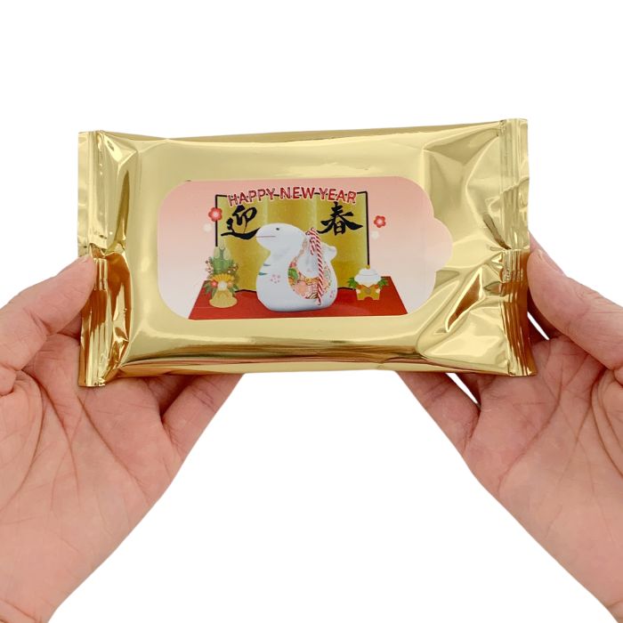 ٥ɥåȥƥå̦10P500 (1005碌)