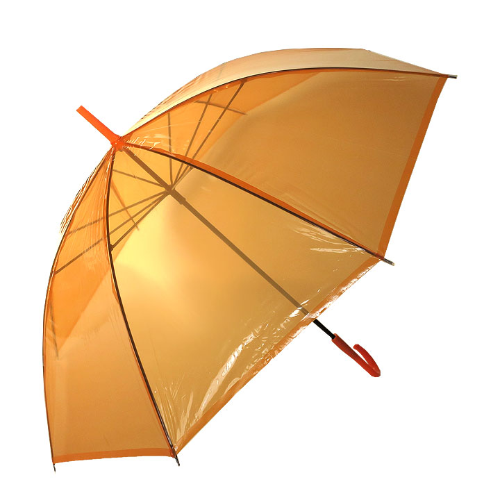 �ӥˡ��뻱50cm�����顼 ����󥸡�6�ܥ��å�