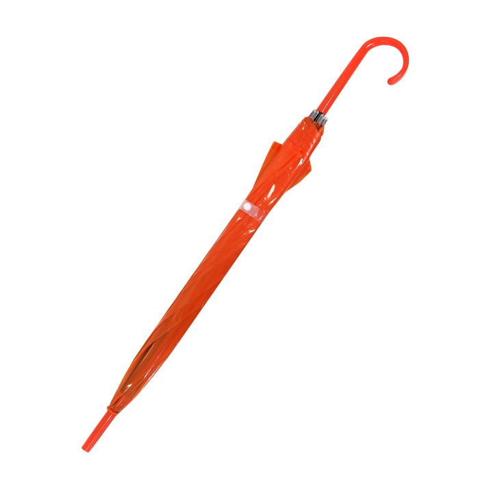 �ӥˡ��뻱50cm�����顼 ����󥸡�6�ܥ��å�