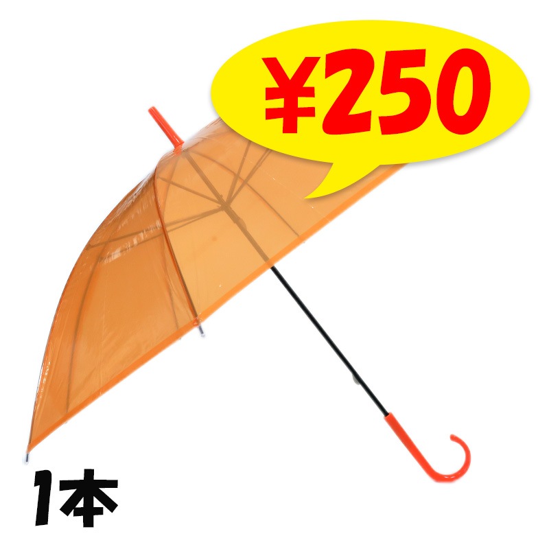 �ӥˡ��뻱50cm�����顼 ����󥸡�1��(����ץ�) 