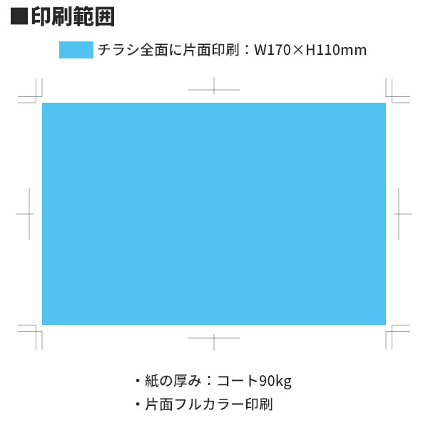 ���ꥸ�ʥ���¥�������ʥ��饷������������ Ž�� �쥮��顼 800�ĥ��å�