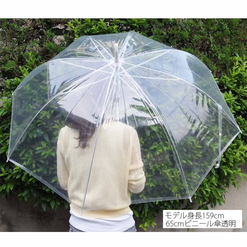 65cm�ӥˡ��뻱(���祵����) �����׼� Ʃ�� ��������긵�� 96�ܥ��å�(48�ܡ�2) #508