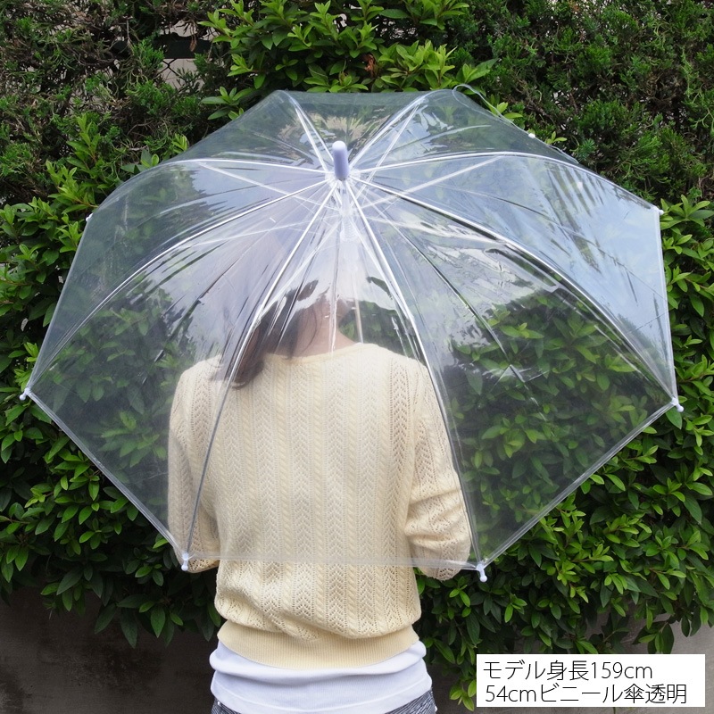 ��55cm�ӥˡ��뻱�� Ʃ���ʥ��ꥢ�ˡ������׼���120�ܥ��åȡ�2��������