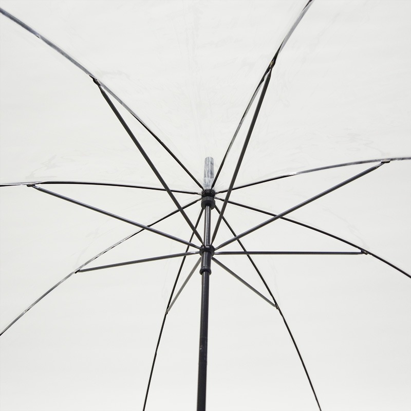 ¨Ǽ50cm ӥˡ뻱 ܹ 곫 Ʃ 12ܥå