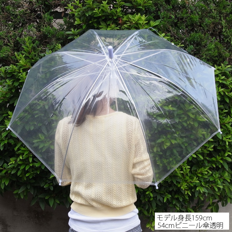��55cm�ӥˡ��뻱�� Ʃ���ʥ��ꥢ�ˡ������׼���12�ܥ��å�