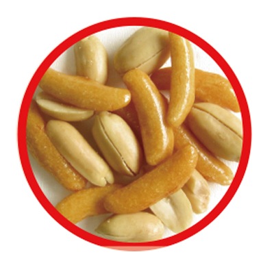 �ϥ������� ���㥰�顼���ԡ�  500�ġ����ϥ���������� ���������Ĥޤߡ�