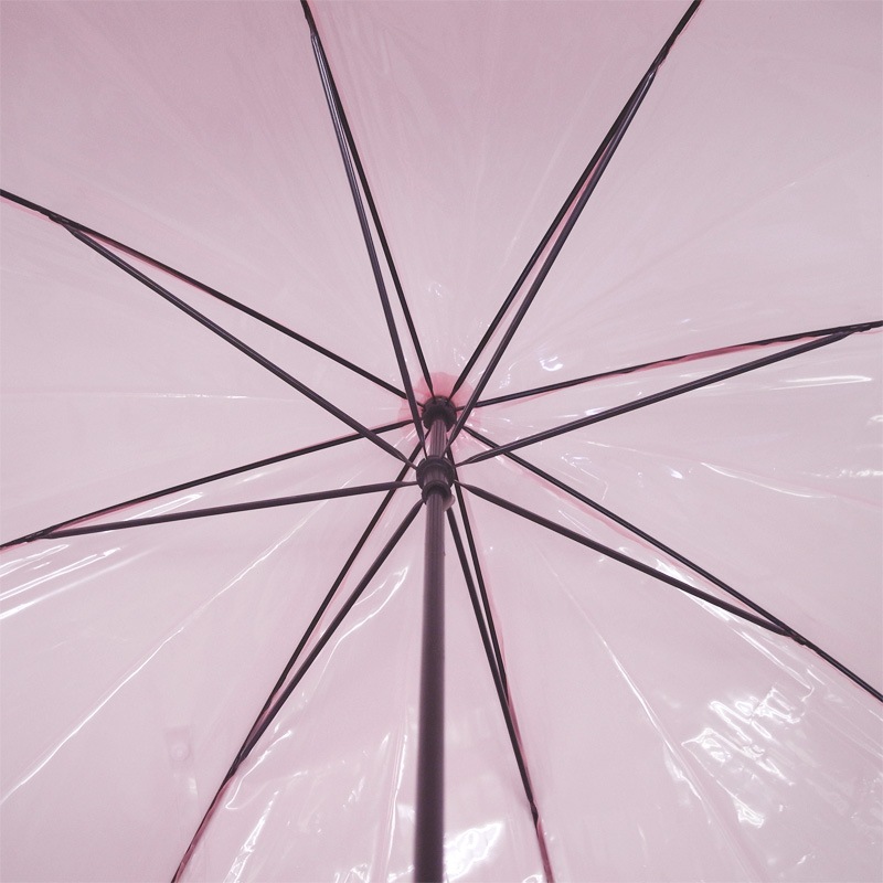 �ӥˡ��뻱50cm�����顼 �����ʥԥ󥯡ˡ�300�ܥ��åȡ�60�ܡ�5c/s��