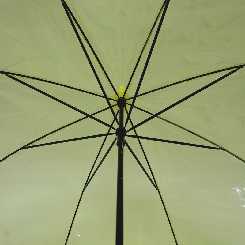 �ӥˡ��뻱50cm�����顼 �����ʥ��������ˡ�1�ܥ��å�