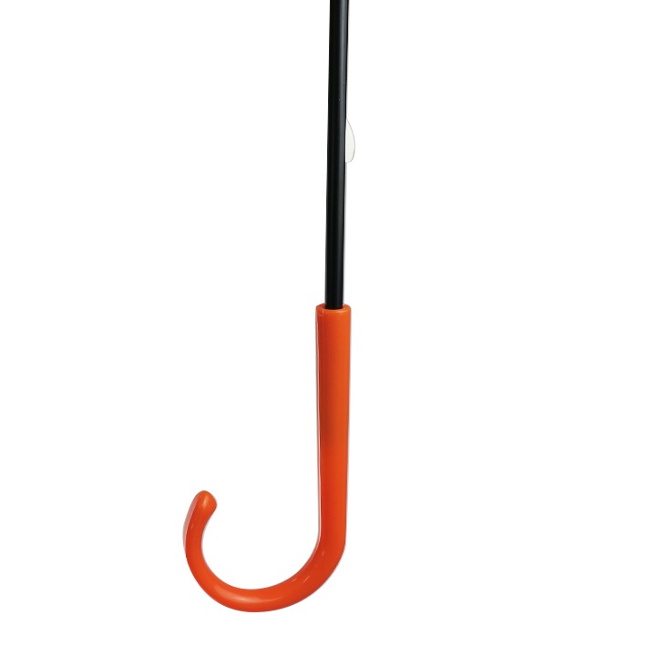 �ӥˡ��뻱50cm�����顼 ����󥸡�30�ܥ��å�(0.5c/s)