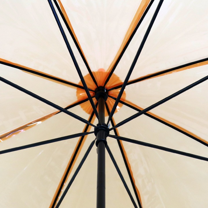 �ӥˡ��뻱50cm�����顼 ����󥸡�30�ܥ��å�(0.5c/s)