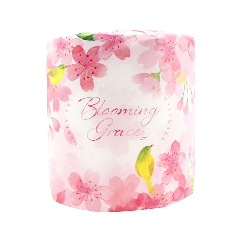 ������ �ȥ���åȥ����� 100�ĥ��å�(1c/s)��10055352��