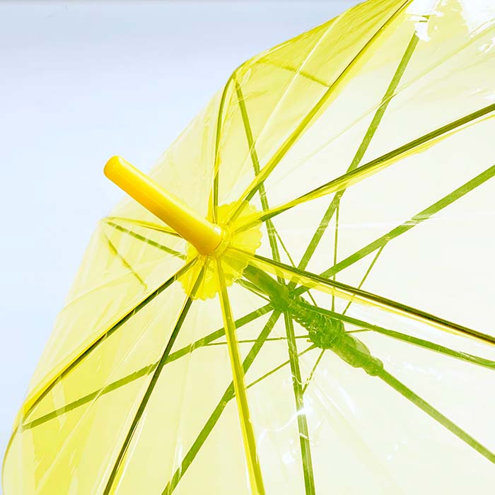 60cm ���顼�ӥˡ��뻱������6�ܥ��åȡ�
