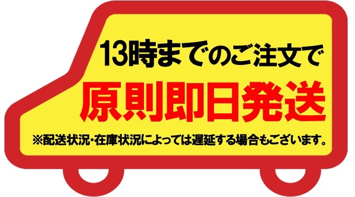60cm ���顼�ӥˡ��뻱������6�ܥ��åȡ�