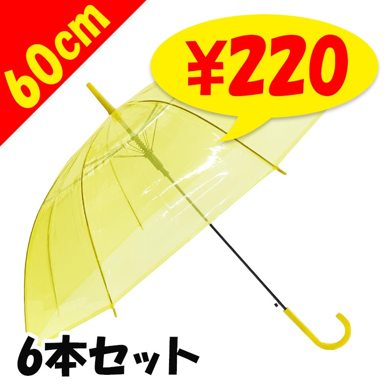 60cm ���顼�ӥˡ��뻱������6�ܥ��åȡ�