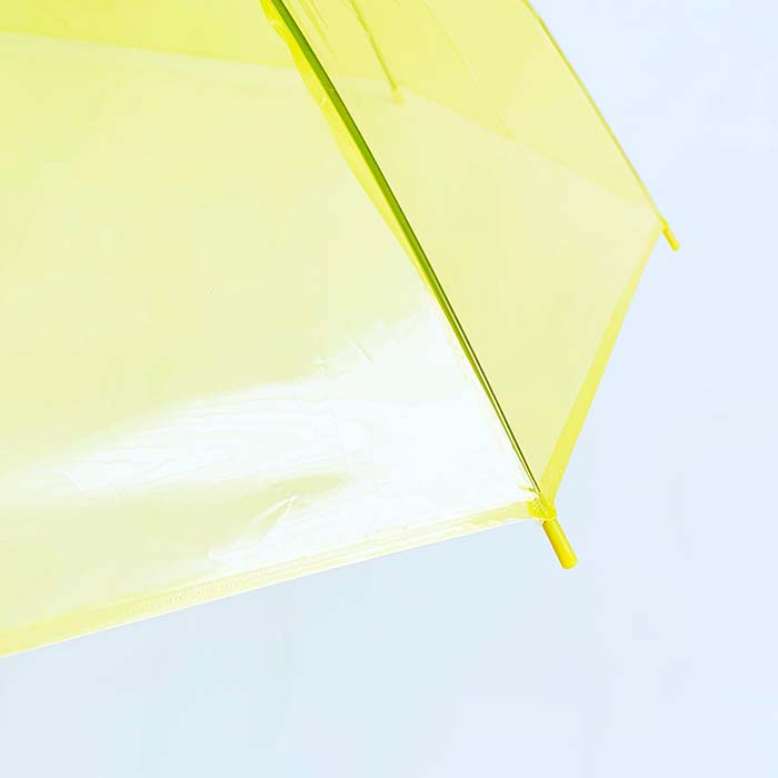 60cm ���顼�ӥˡ��뻱������6�ܥ��åȡ�